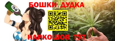 apvp Лесосибирск