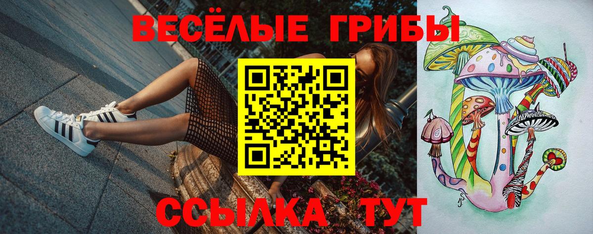 наркошоп  Вход с VPN  Камышин  Галлюциногенные грибы ЛСД 